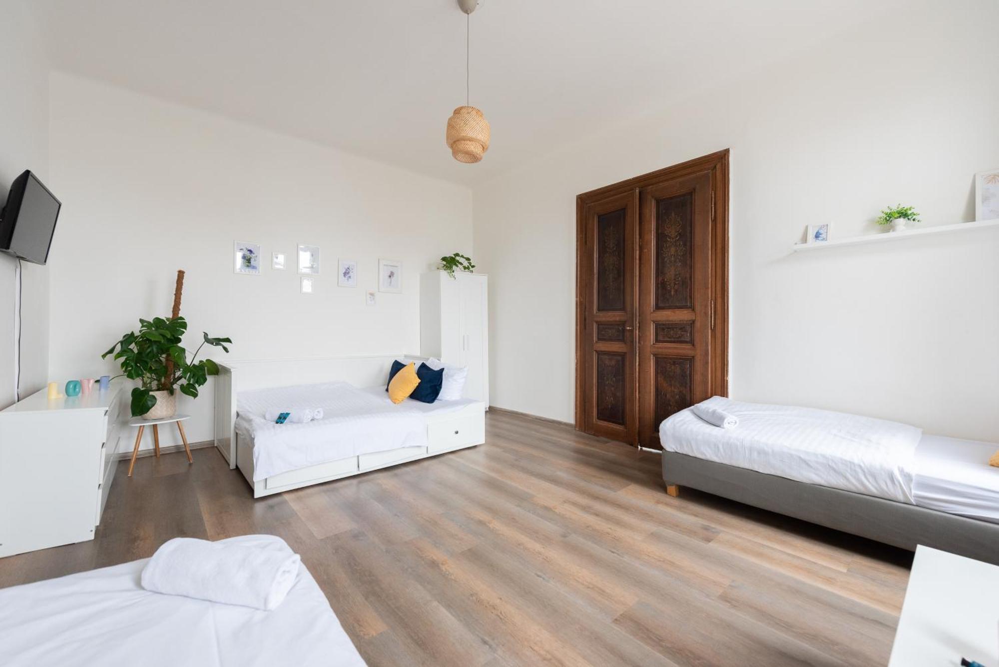 Residence Tesnov Apartment 布拉格 外观 照片